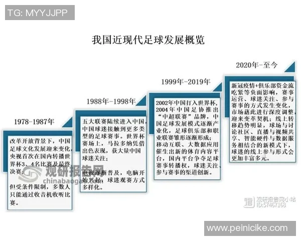 上海足球队的运营模式与发展策略深度解析 上海足球队的运营模式与发展策略深度解析