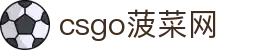 csgo菠菜网(中国区)有限公司官网